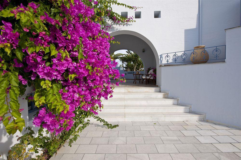 Ammos Naxos Naxos City Exterior foto